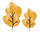 2003b476a04d7bb9a5248e1580283d01.jpg